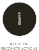 3D DIGITAL RECONSTRUCTIONS
