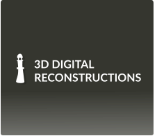 3D DIGITAL  RECONSTRUCTIONS